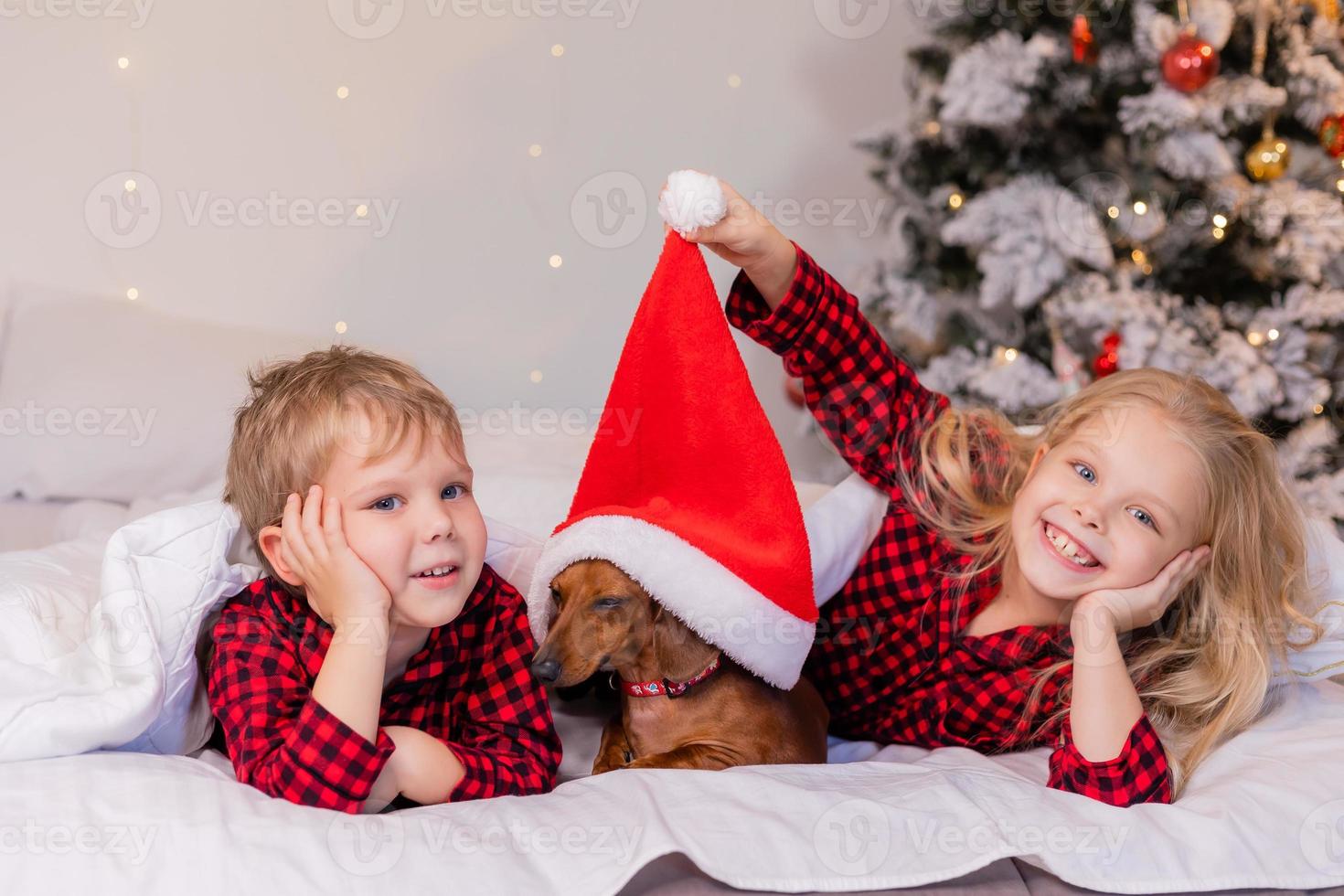 dos niños, un niño y una niña, están acostados en la cama con su querida mascota para navidad. foto de alta calidad