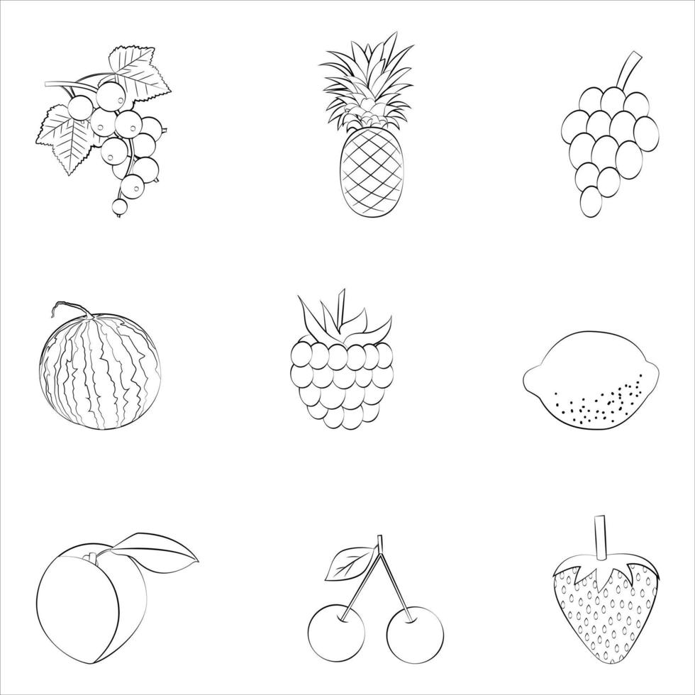 A set of vector fruits of a thin line.