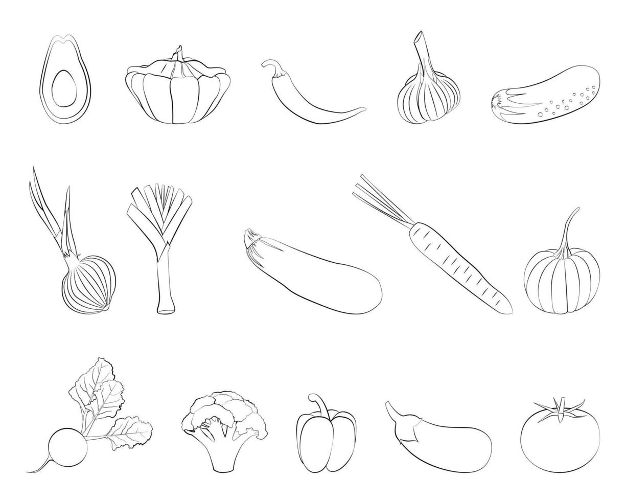 A set of vector vegetables with a thin line.