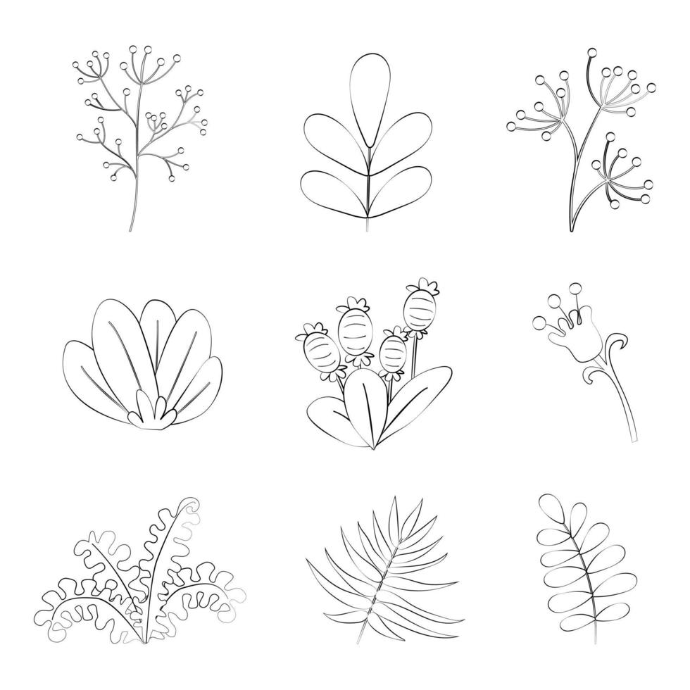 A set of floral elements with a thin line. vector