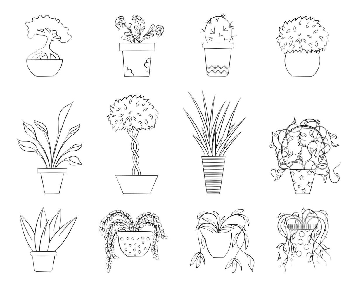 A set of plants in pots with a thin line. vector