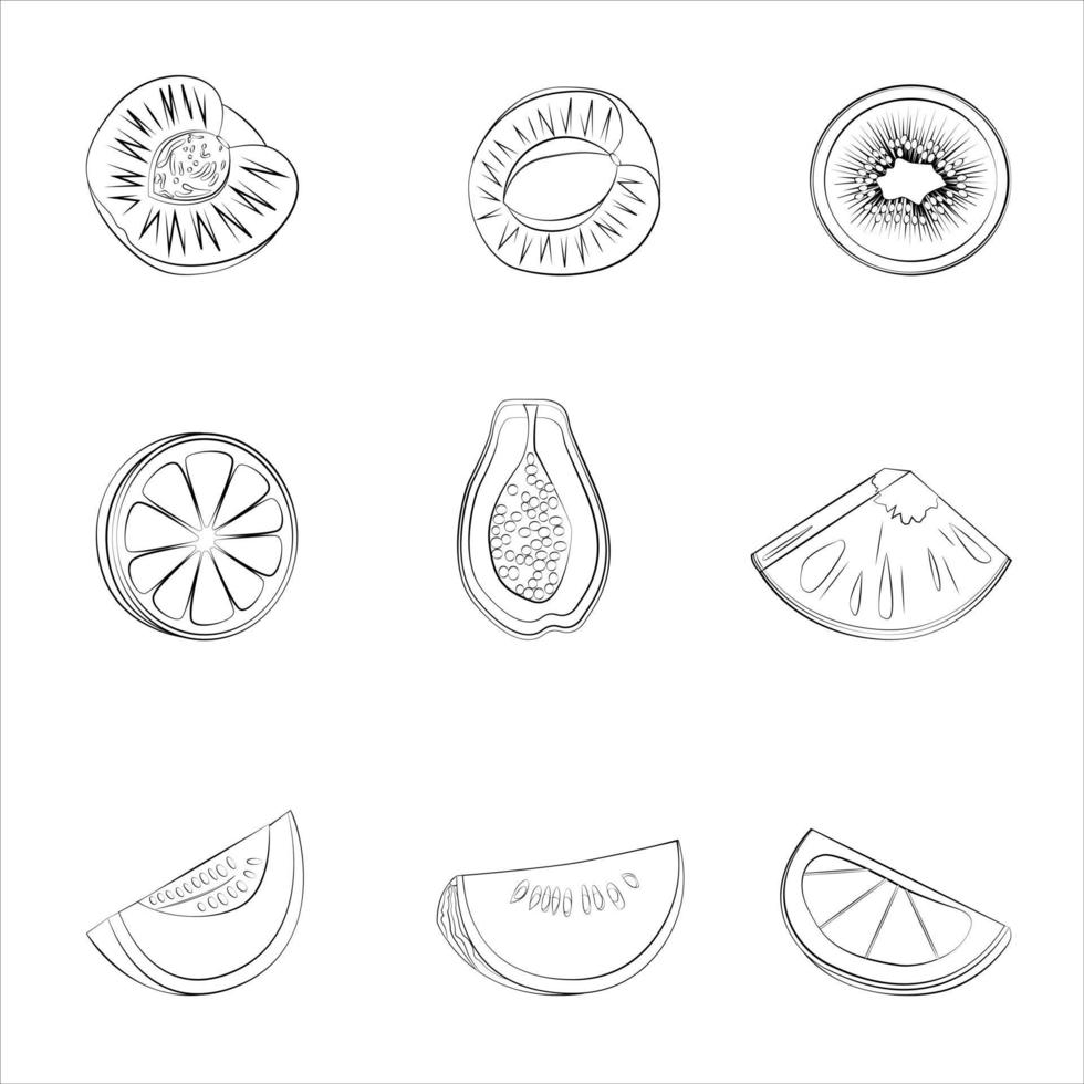 A set of halves of vector fruits of a thin line.