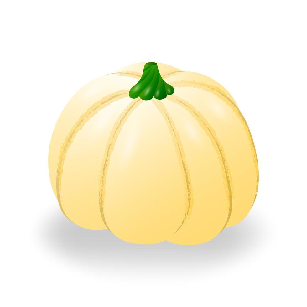 Round yellow pumpkin with stem. Isolated on a white background. Vector illustration.