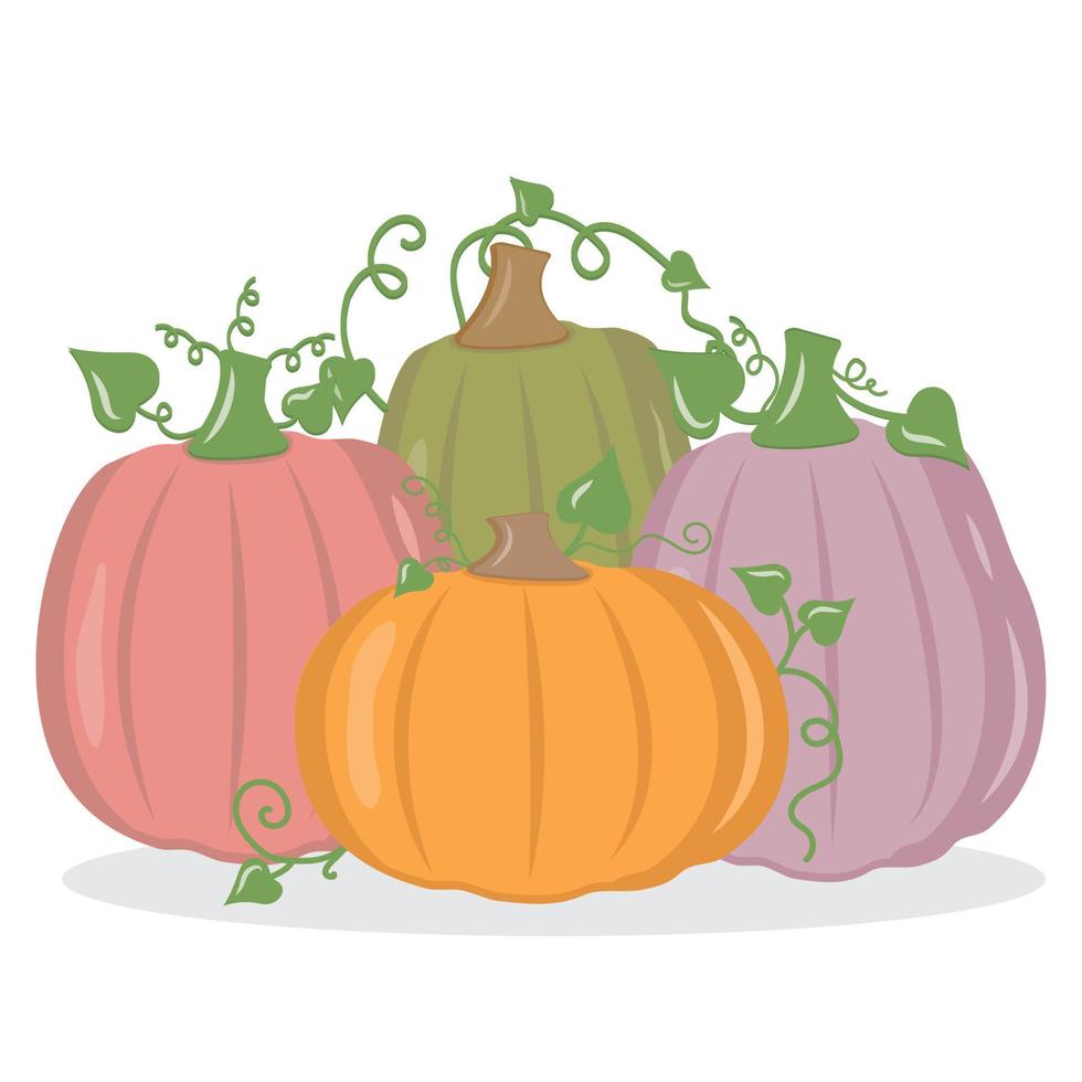 calabaza vegetal de otoño, icono de ilustración aislada de vector de color