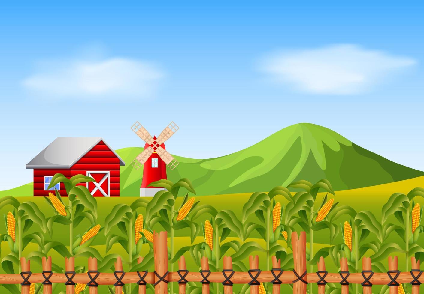 Field of corn and red barn vector