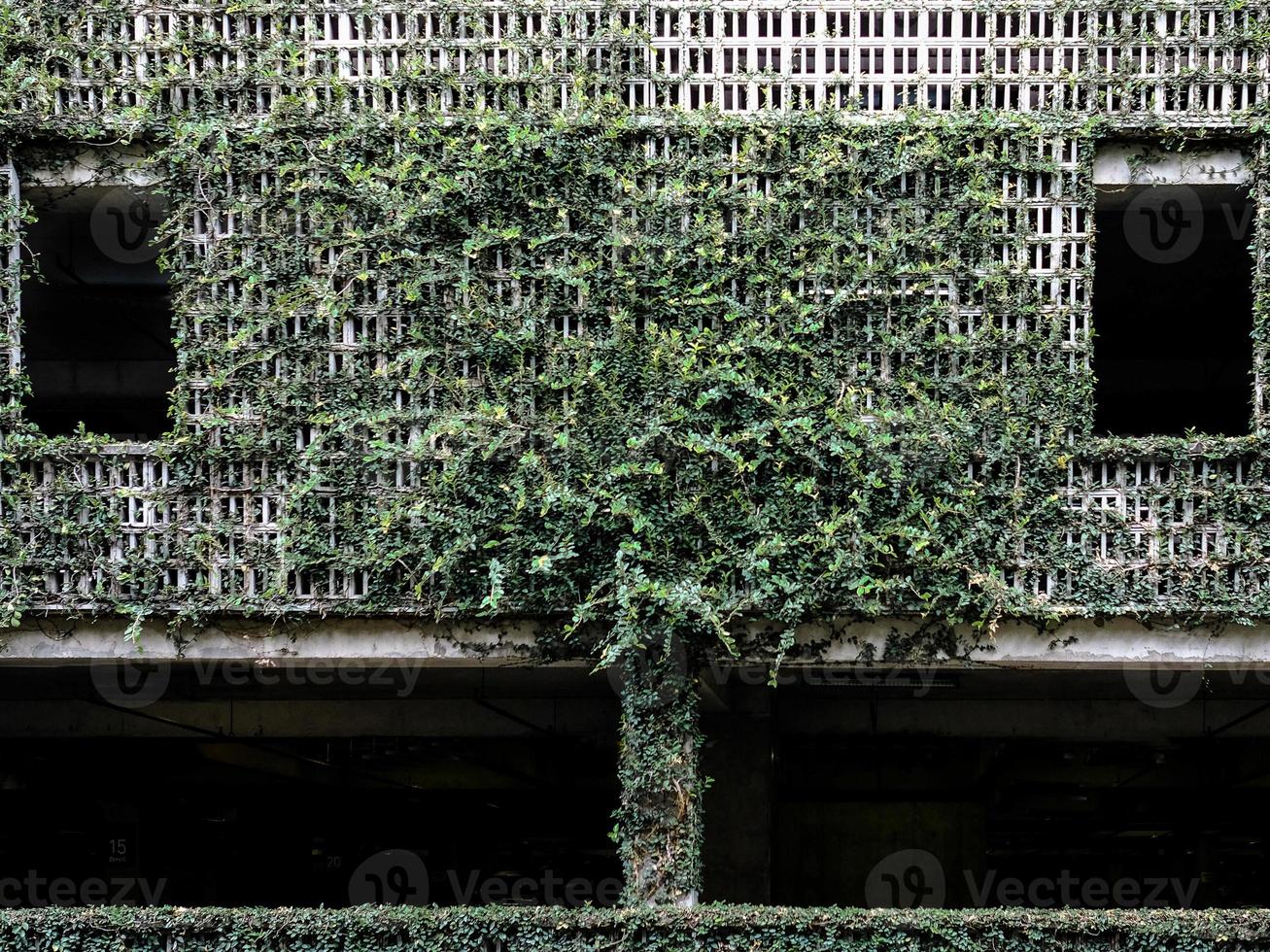 crecimiento de plantas en un recinto de aparcamiento de fachada de hormigón del edificio foto