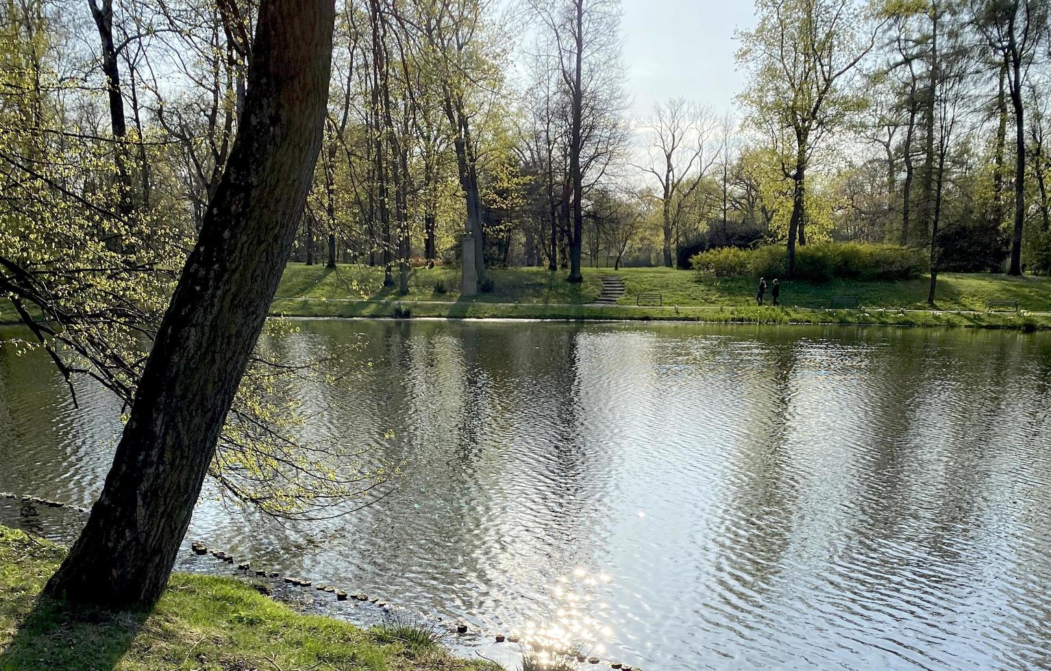 Smaller lake in the park. Lots of greenery and trees. Nature photo