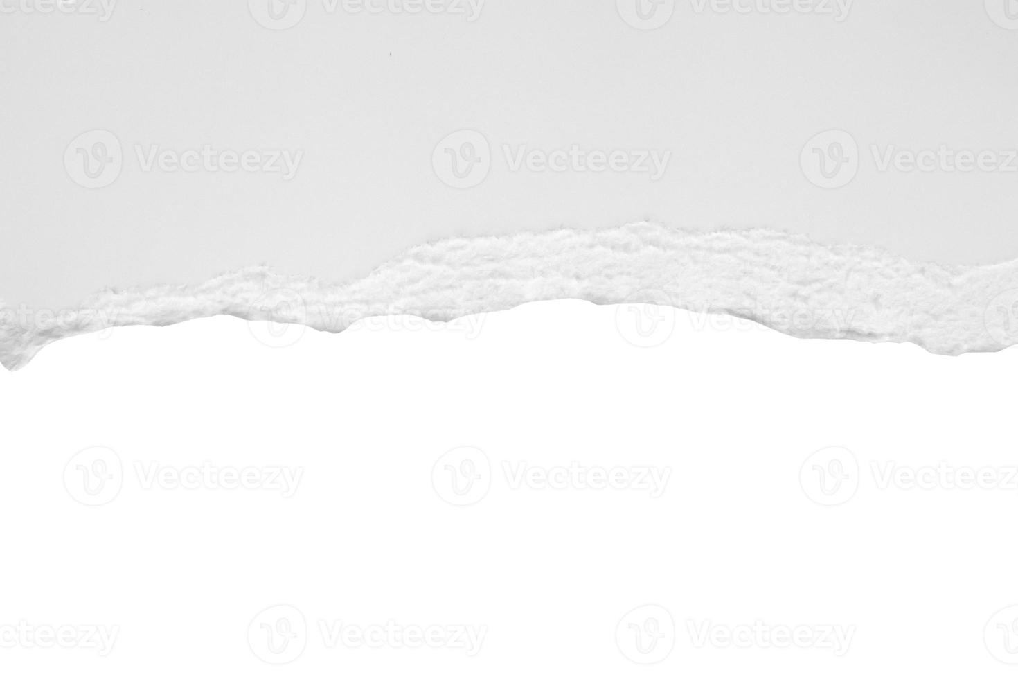 White ripped paper torn edges strips isolated on white background photo