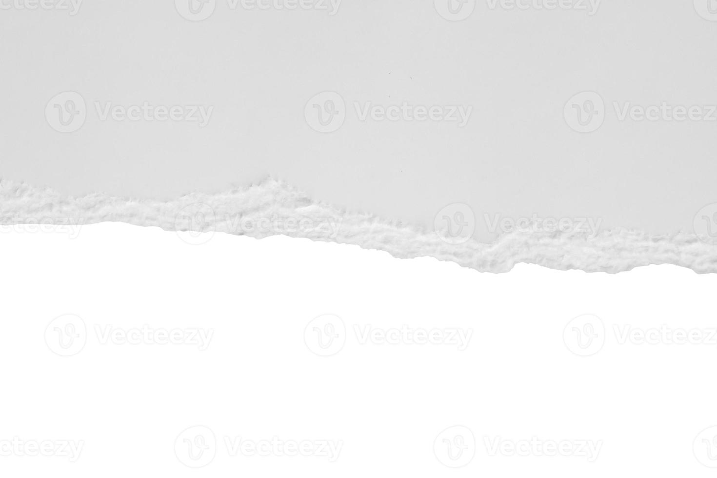 White ripped paper torn edges strips isolated on white background photo