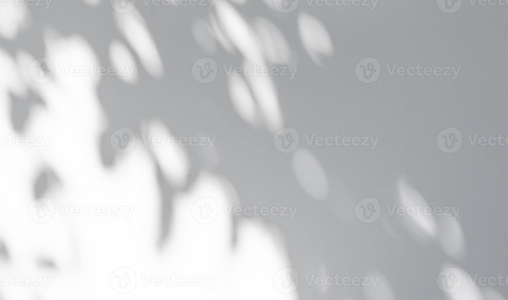 Abstract natural tree leaves shadow on white wall background photo