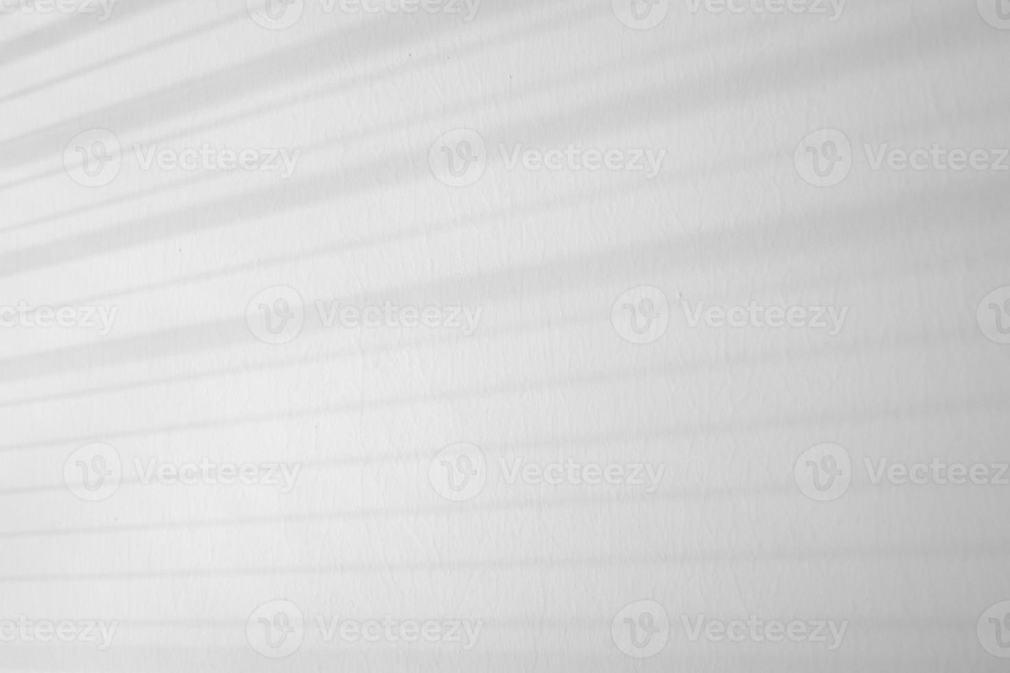 drop shadow on white wall background photo