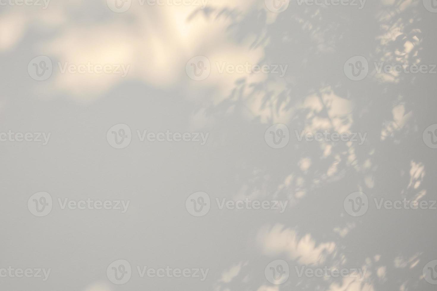 Abstract natural tree leaves shadow on white wall background photo