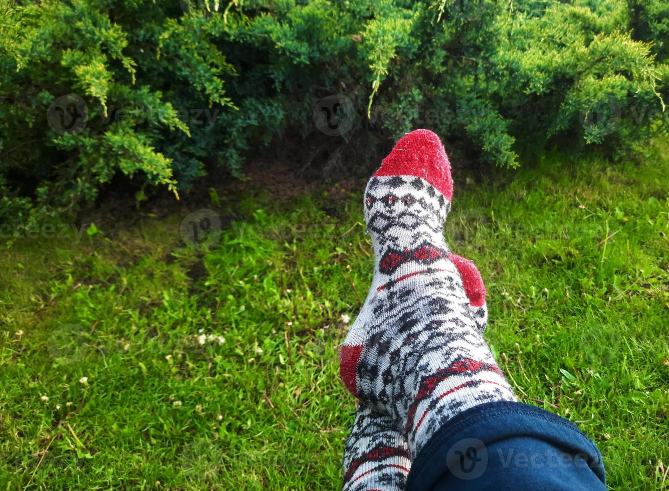 The concept of outdoor recreation, hygge and leisure - legs in woolen socks on a blurred background of green grass and junipers. photo