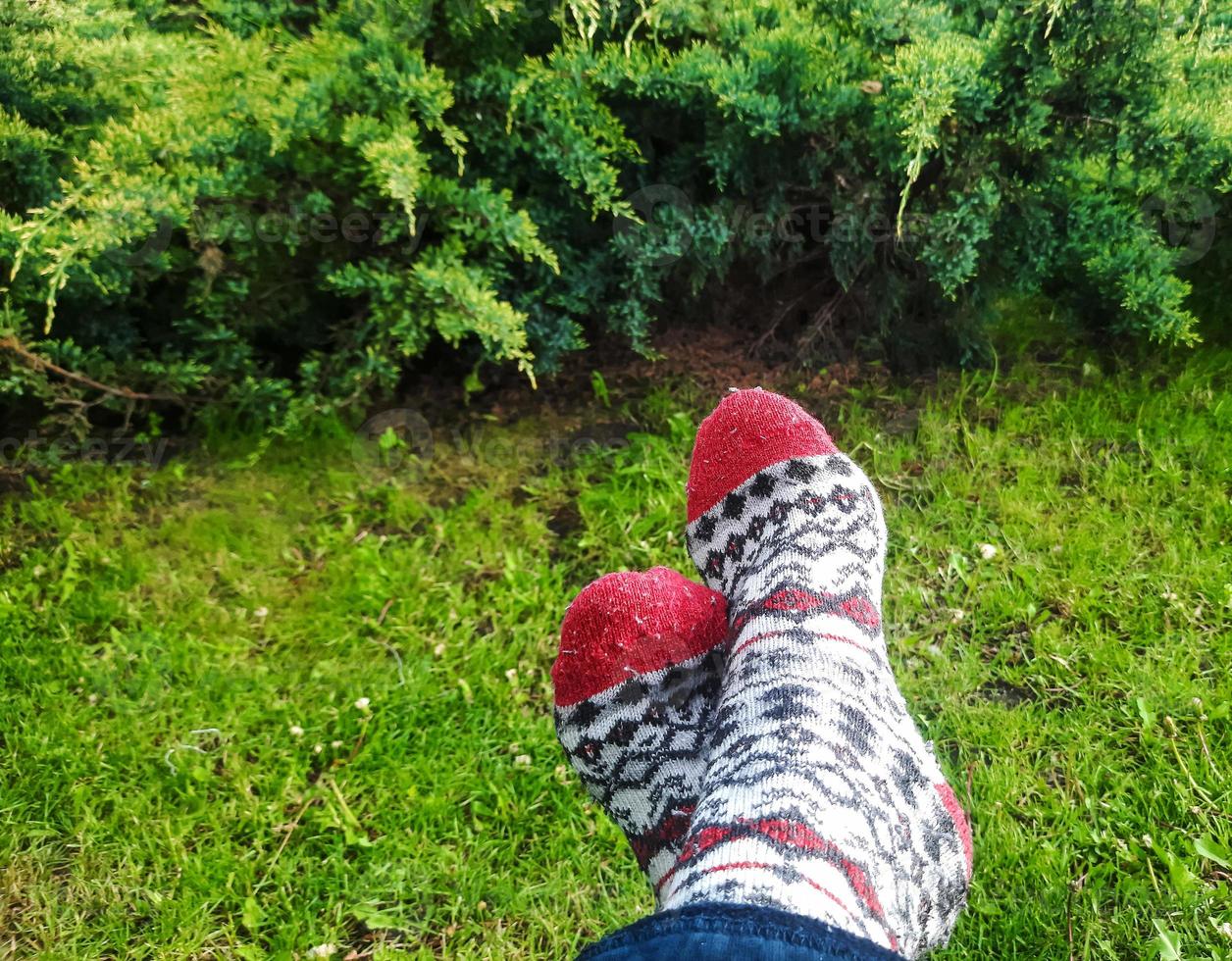 The concept of outdoor recreation, hygge and leisure - legs in woolen socks on a blurred background of green grass and junipers. photo