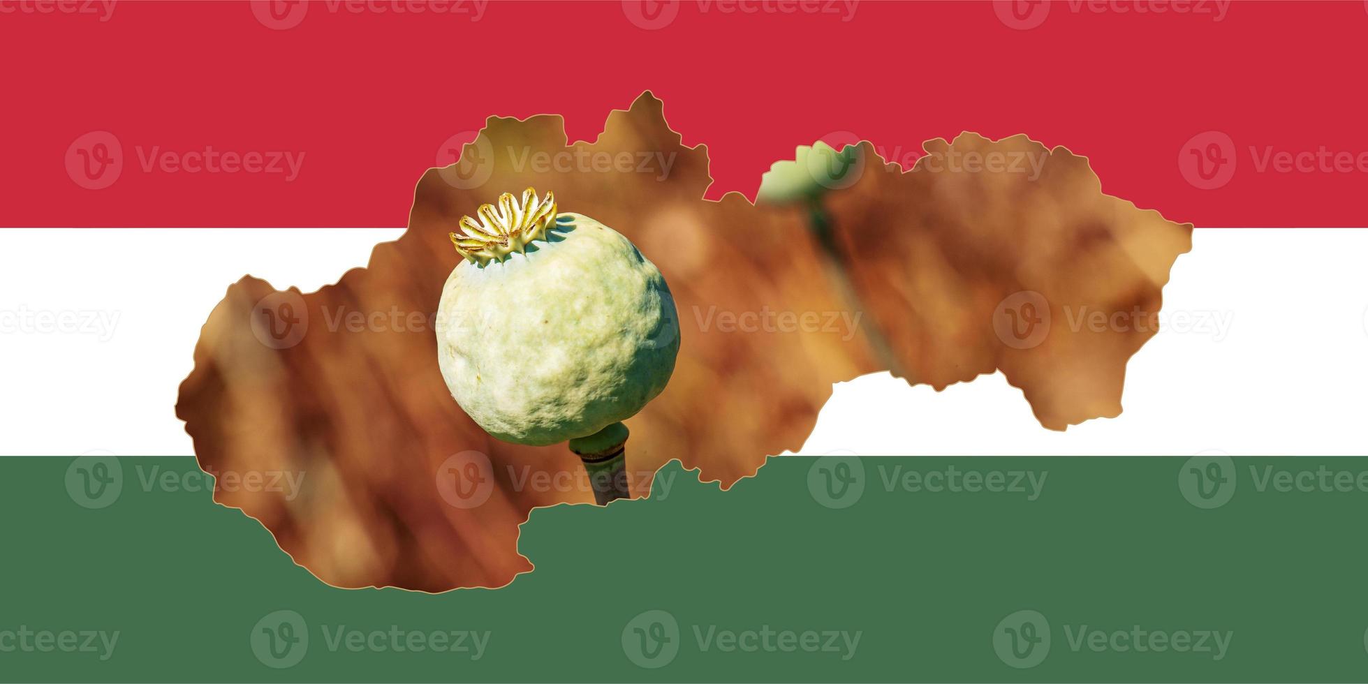 Outline map of Hungary with the image of the national flag. Image of a poppy cob inside the card. Collage. Hungary is a major poppy producer. photo