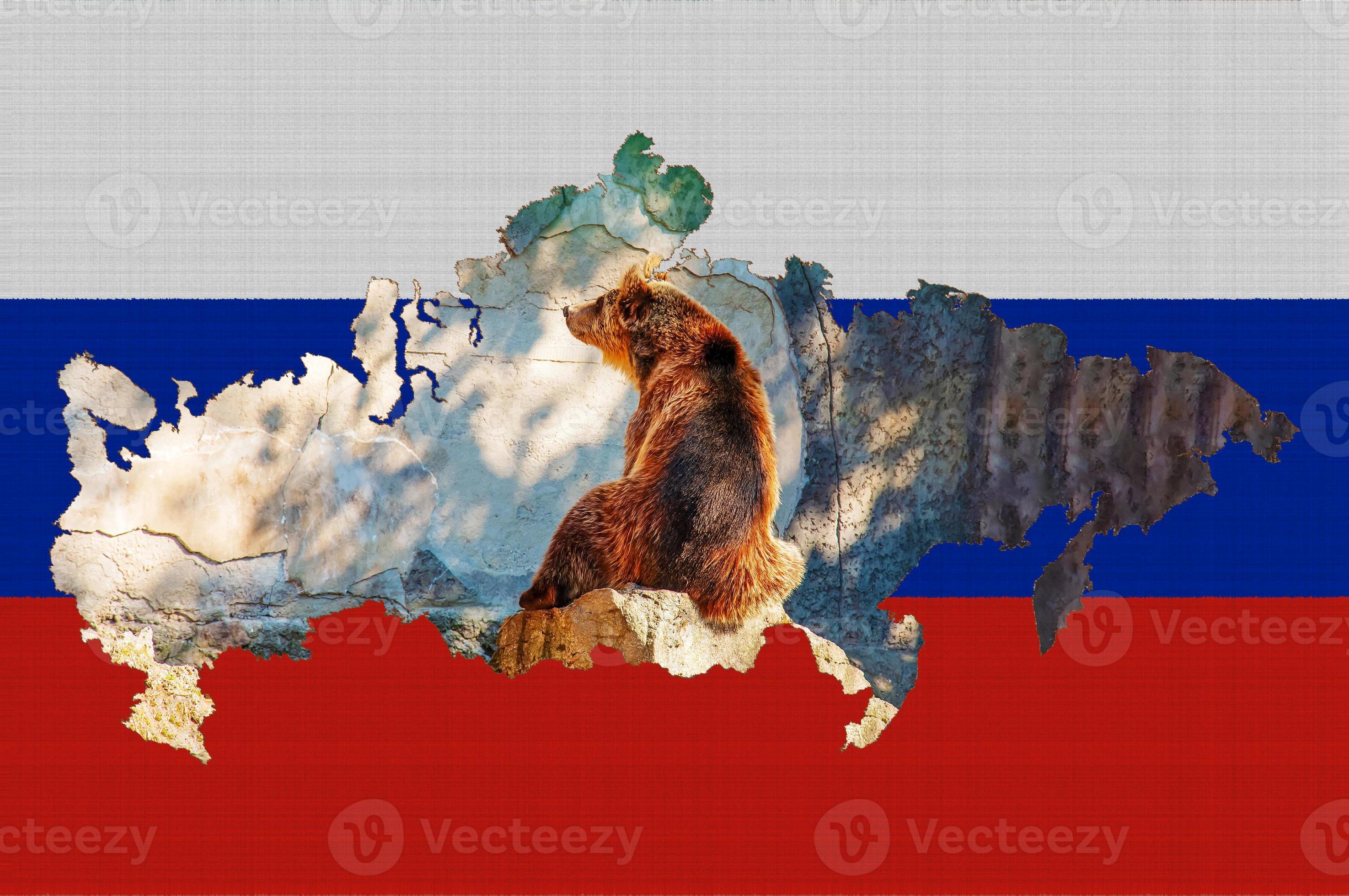 Map of Russia flag: Russia map with flag inside