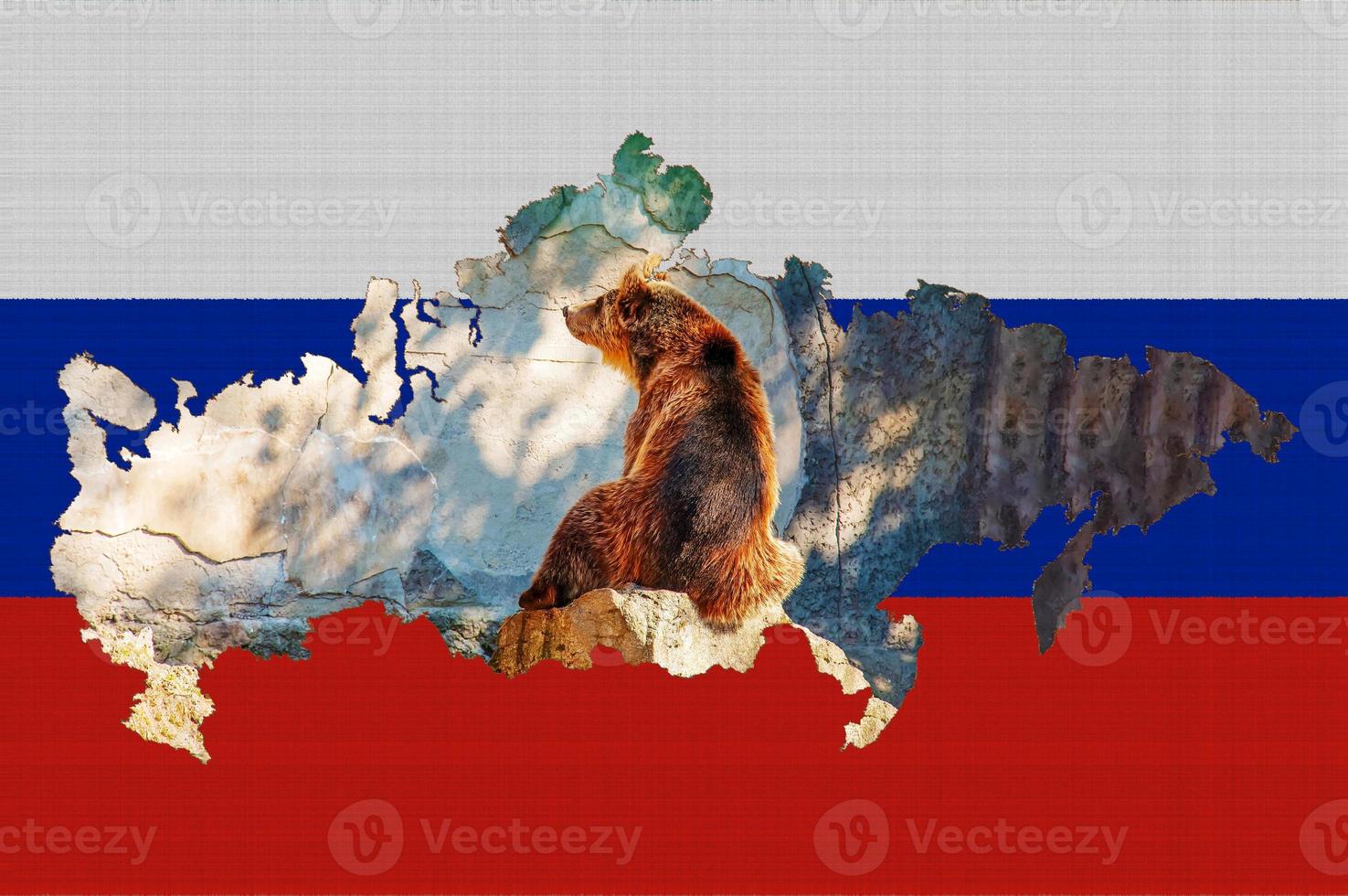 Outline map of Russia on the flag of the country. Common brown European bear inside the outline. Russia concept. photo