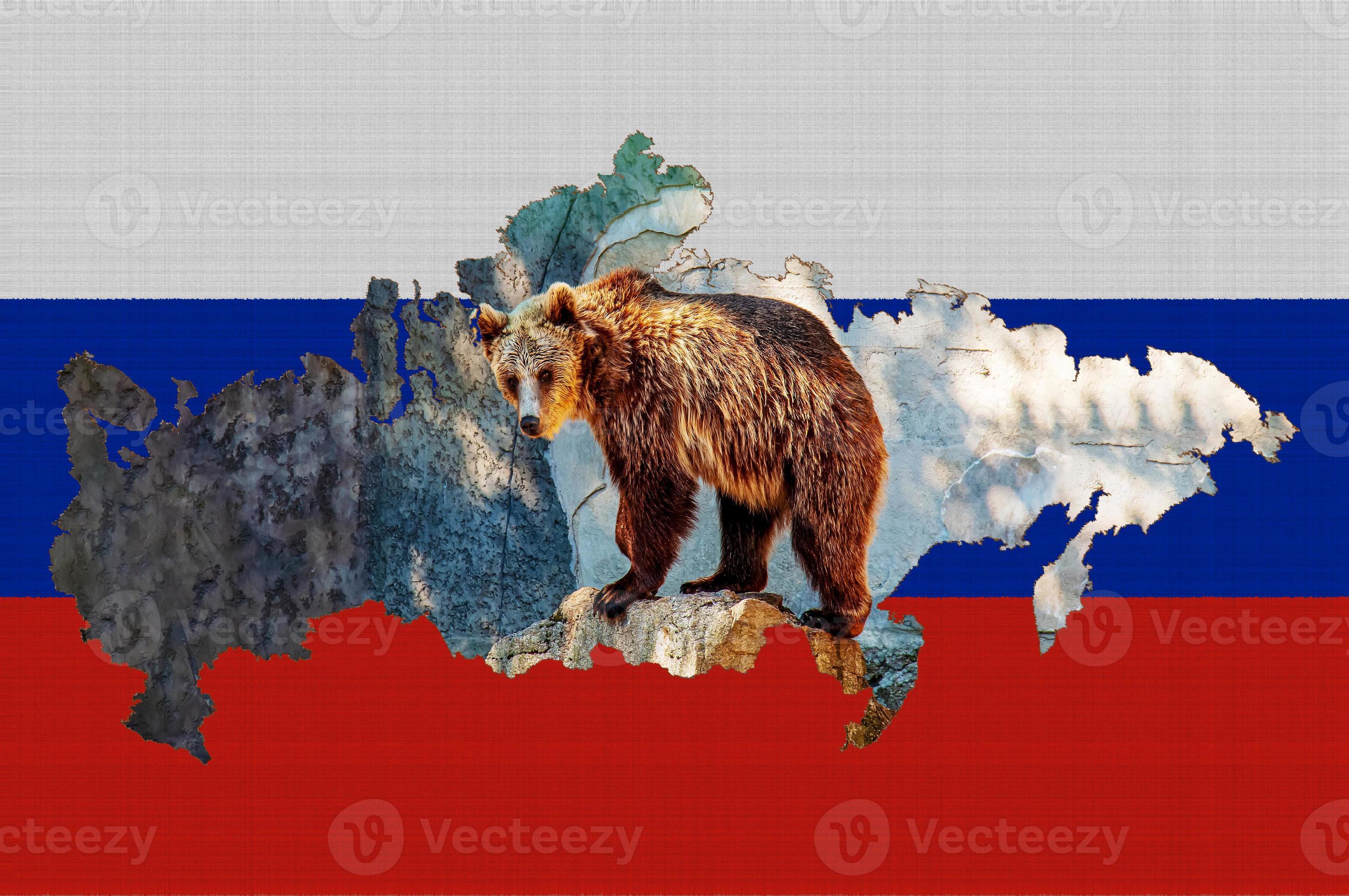 Outline map of Russia on the flag of the country. Common brown European bear inside the outline. Russia concept. 13035565 Stock Photo at Vecteezy Outline map of Russia on the flag of the country. Common brown European bear inside the outline. Russia concept. 13035565 Stock Photo at Vecteezy