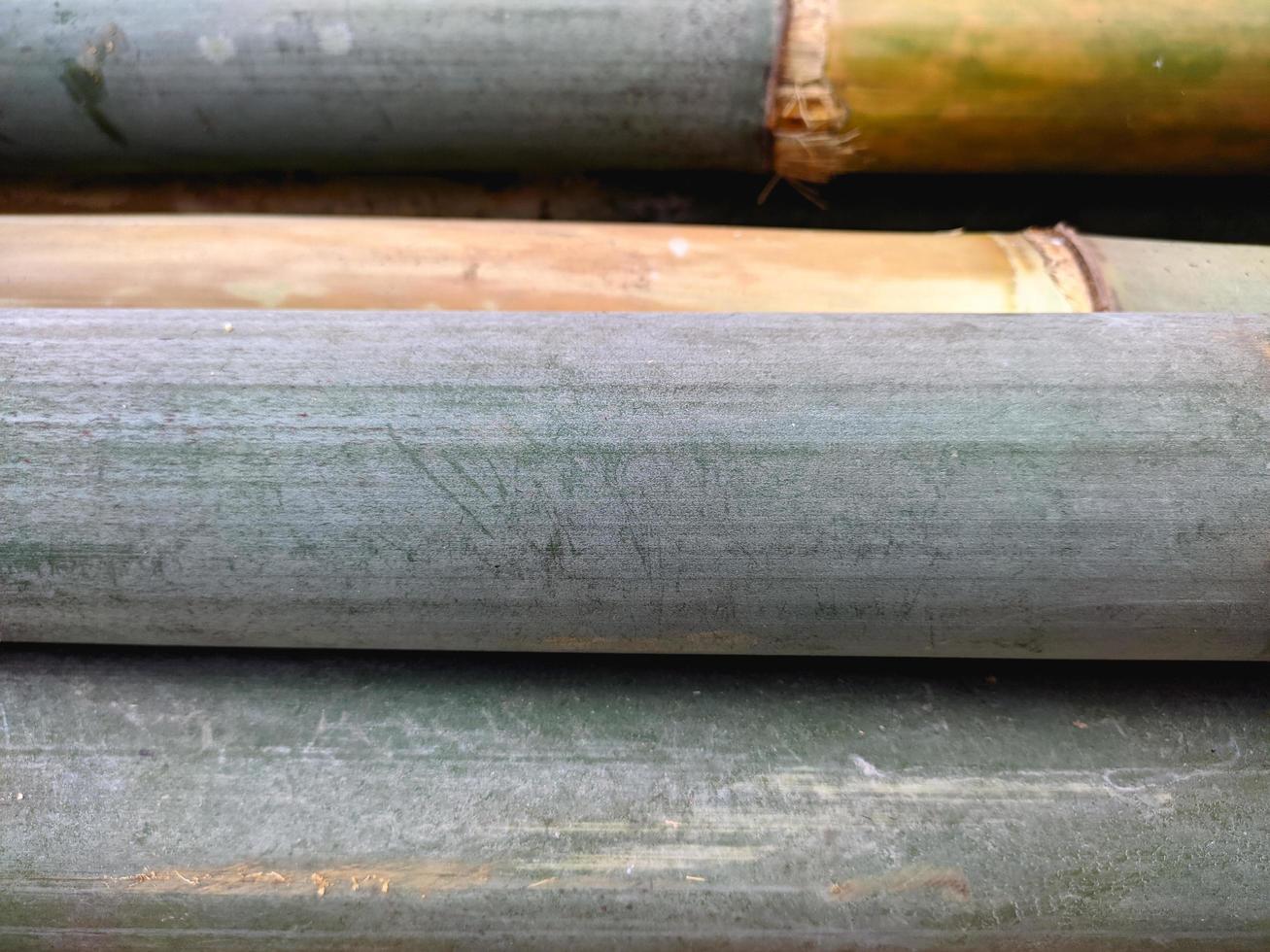 primer plano de un montón de bambú verde que se extiende horizontalmente foto