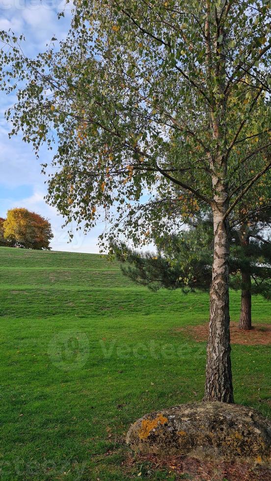 Gorgeous View of British Countryside and Landscape photo