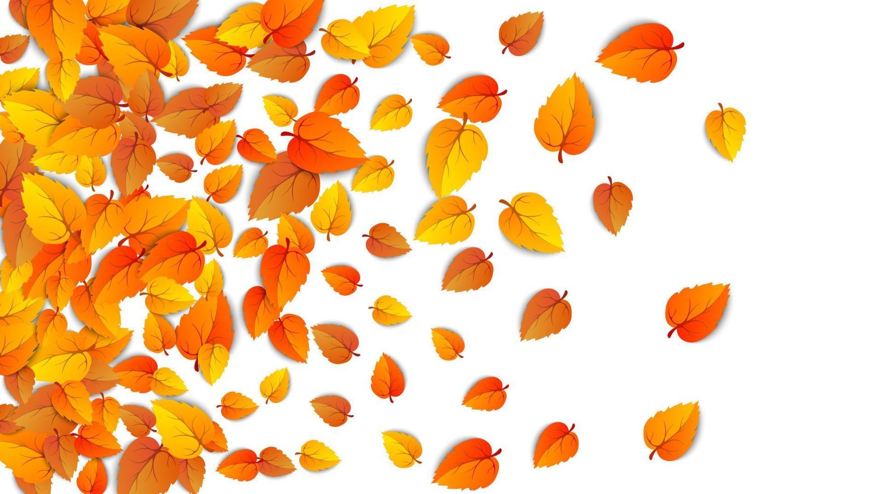 plantilla de marco de hoja dorada de otoño. árbol caído hojas de otoño aislado en blanco. follaje amarillo de octubre y follaje natural otoñal. fondo horizontal de la hoja de la caída del oro del otoño de la publicidad. vector