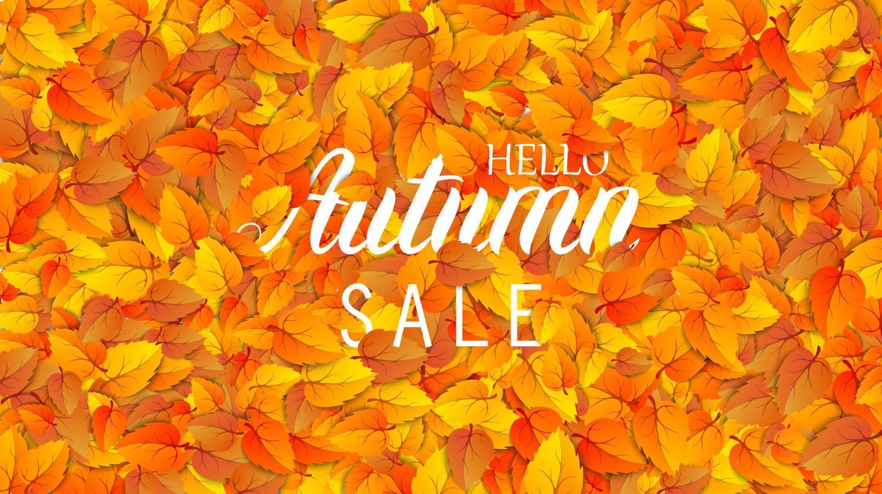 Hello autumn sale lettering banner. Special offer discount poster with fall golden leaves. Autumn seasonal design template shopping advertising promotion. Vector illustration ad sale eps10