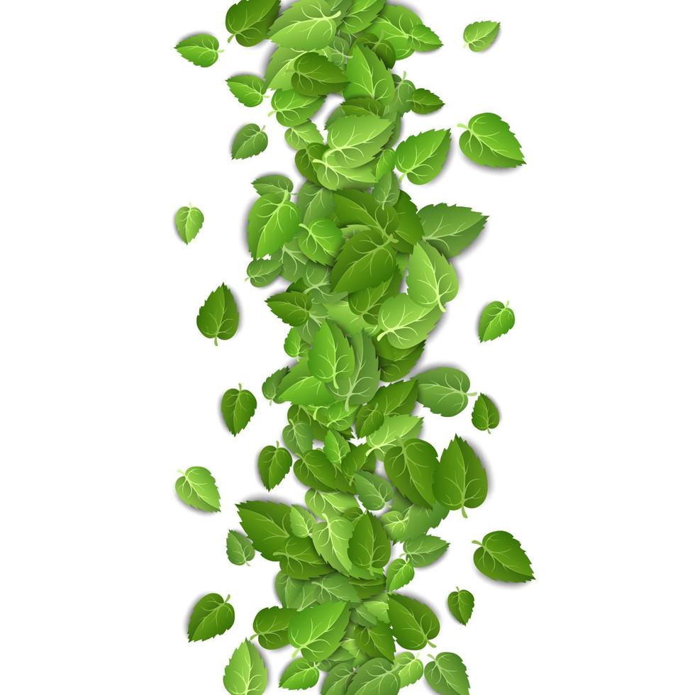 hojas verdes voladoras sobre fondo blanco. patrón de hoja de primavera sobre fondo aislado. caída de hojas frescas planta. primer plano de ilustración vectorial vector