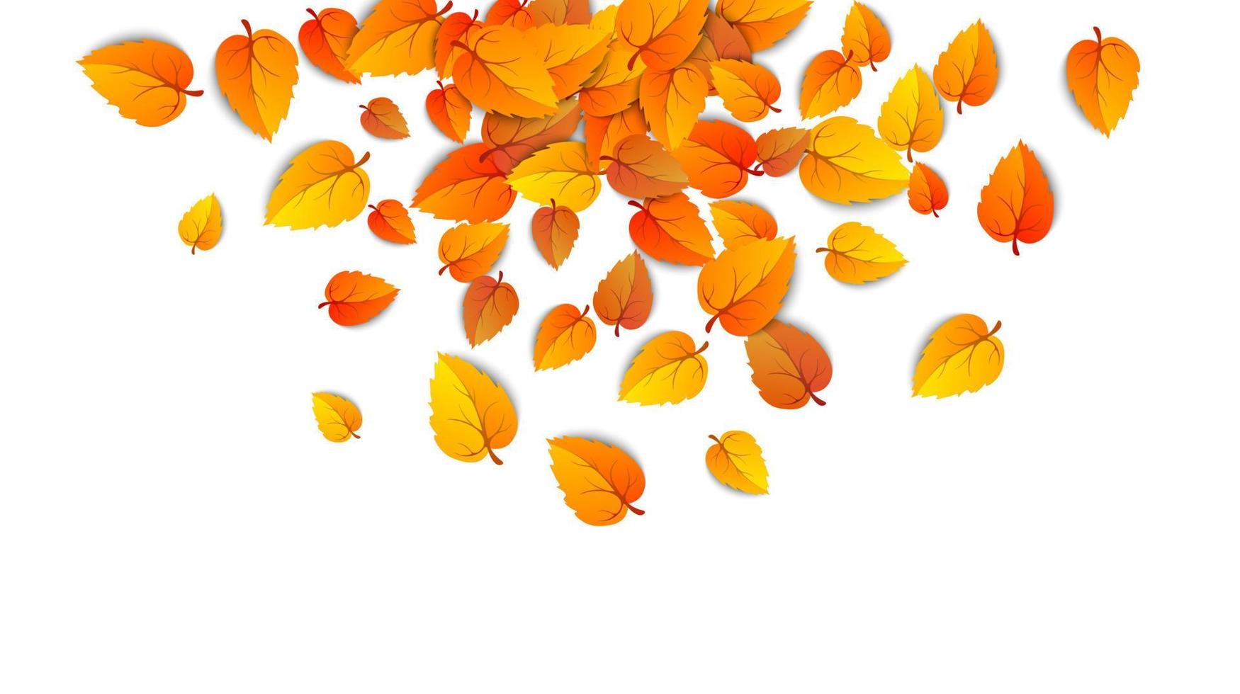 Autumn falling leaves isolated on white background. Autumnal round yellow leaf fall down, Tree foliage and gold leaves. September autumn golden leaf border. Vector illustration eps10