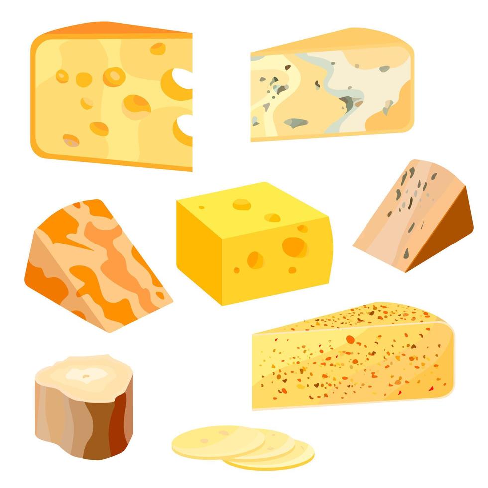 Cheese types. Modern flat style realistic vector illustration icons isolated on white background.