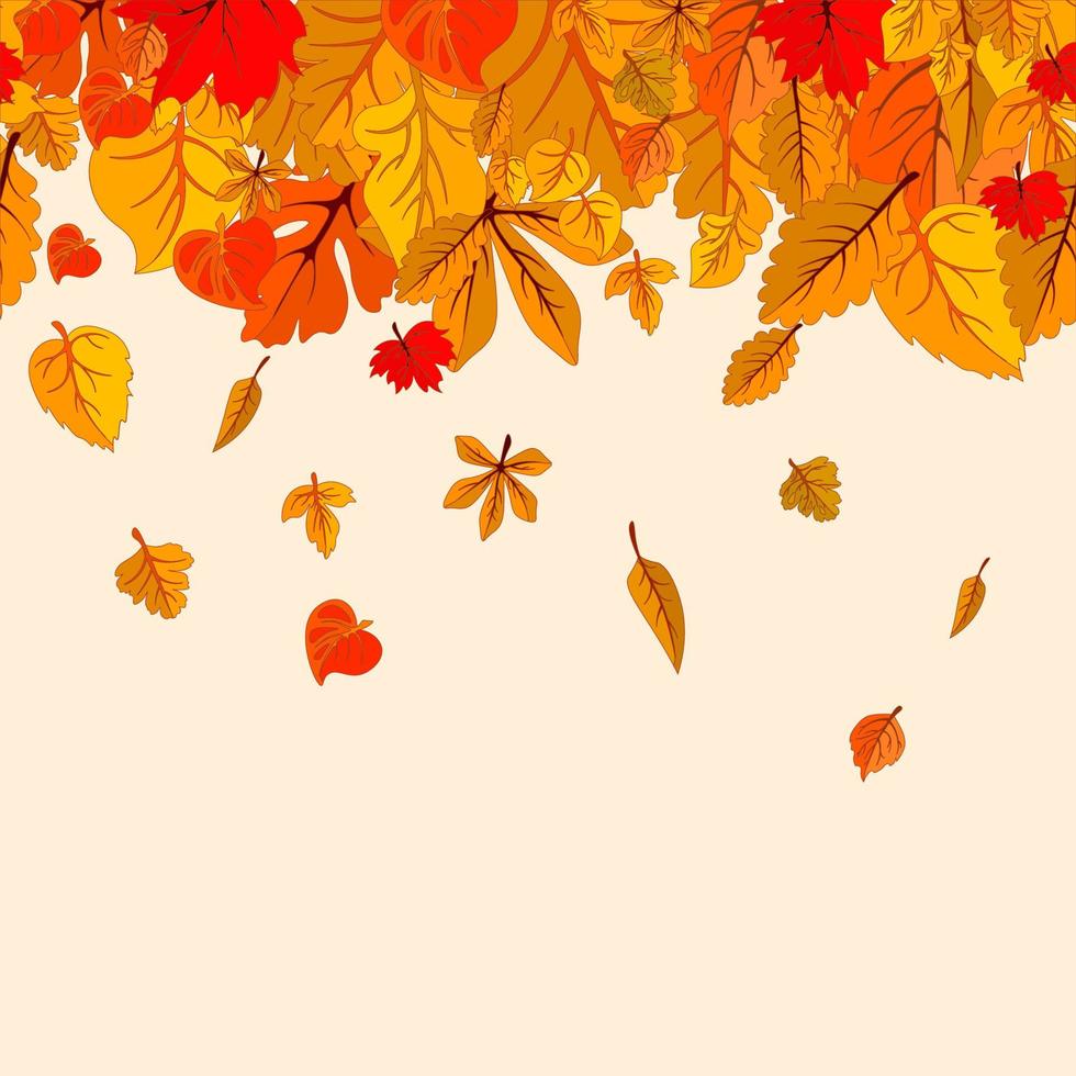 las hojas de otoño caen de fondo aislado. plantilla de póster de otoño dorado. ilustración vectorial eps10 vector