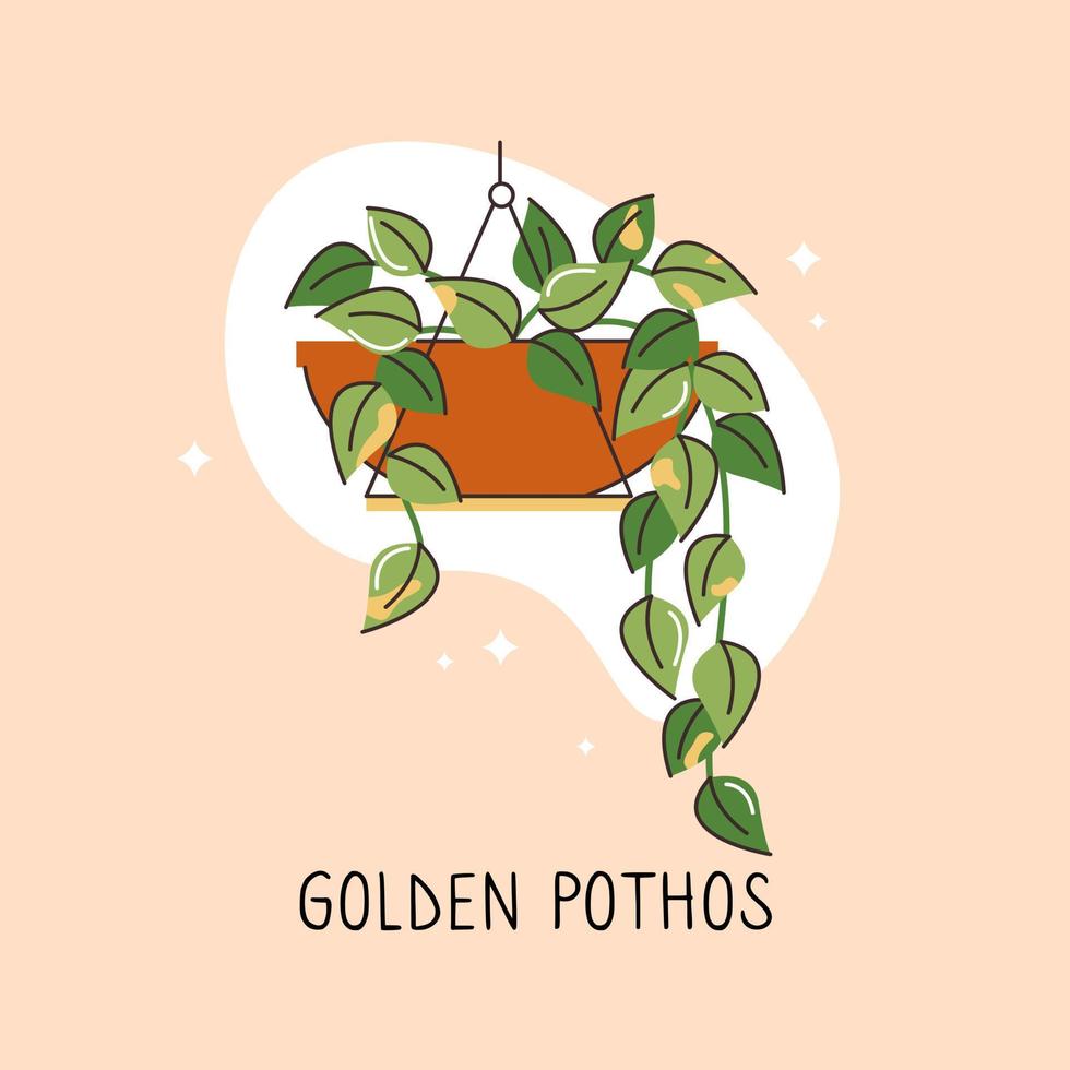 Vector object of flat color indoor plant. Home office decoration. A flower in a container. Potted plant 2D isolated cartoon illustration on white background