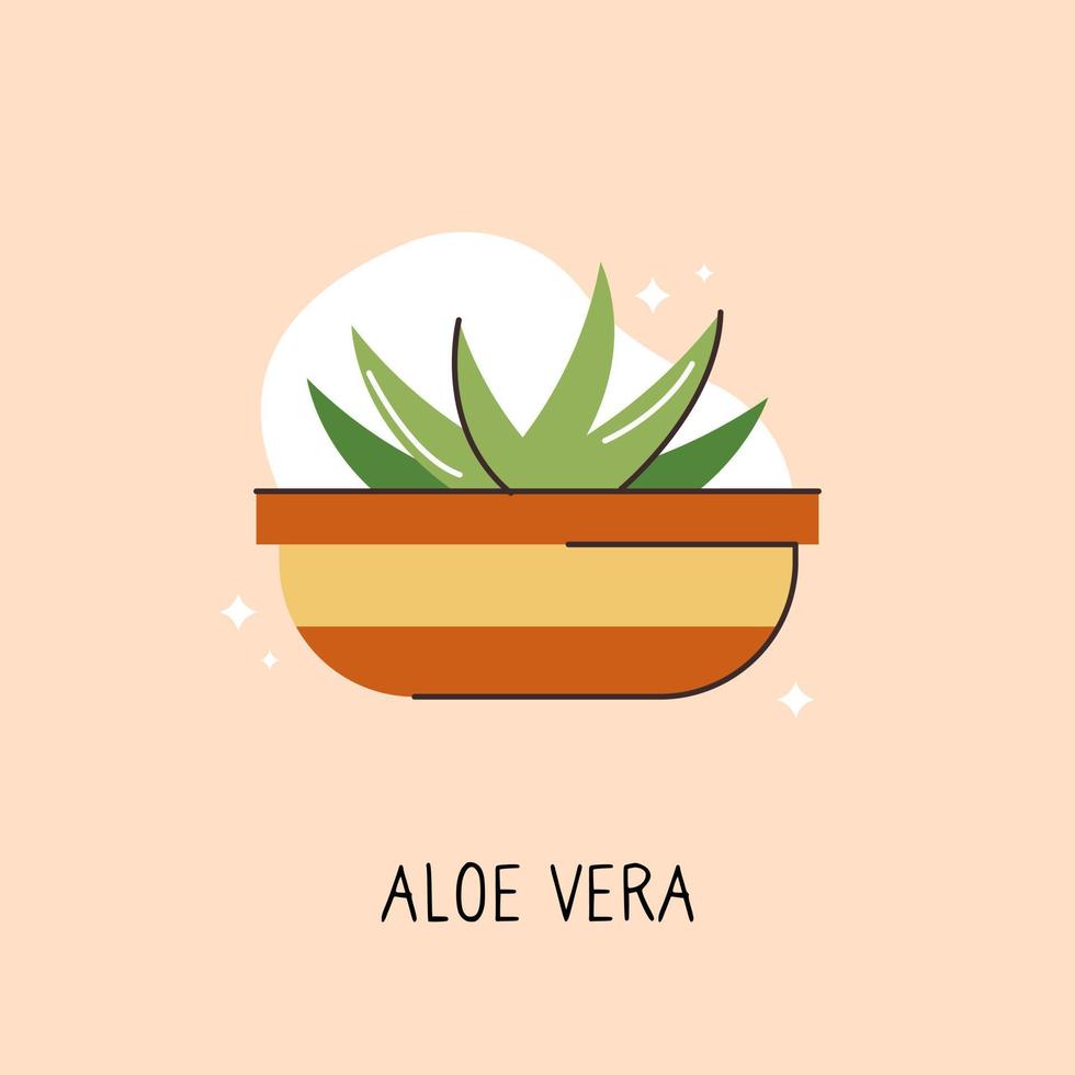 Vector object of flat color indoor plant. Home office decoration. A flower in a container. Potted plant 2D isolated cartoon illustration on white background