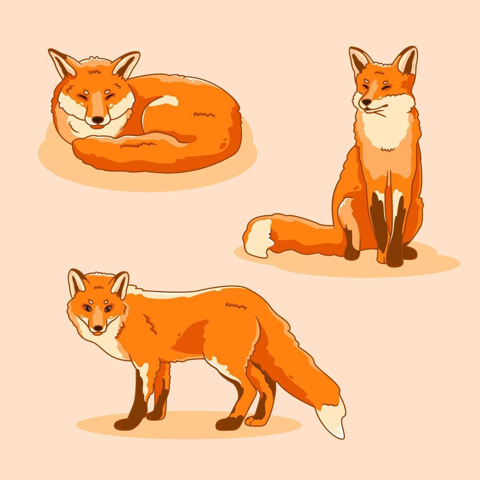 Set of cute cartoon foxes in modern simple flat style. Isolated vector illustration