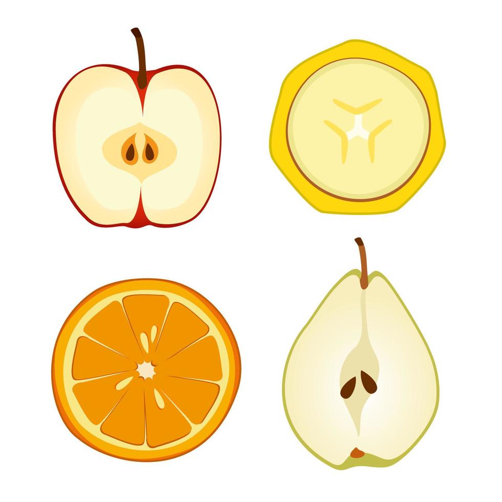 Fruits in the section. Cartoon style. Vector illustration in a flat style