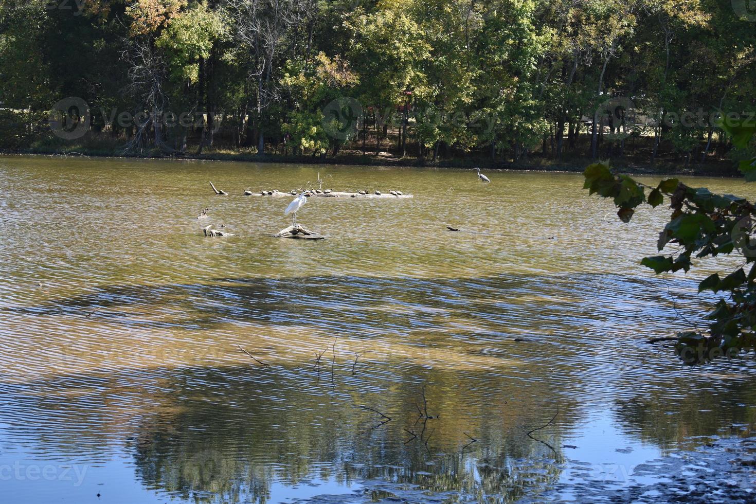Water and Rocks photo