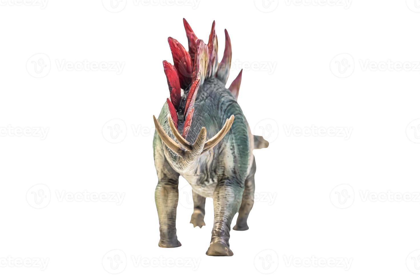 dinosaur , Stegosaurus isolated background photo