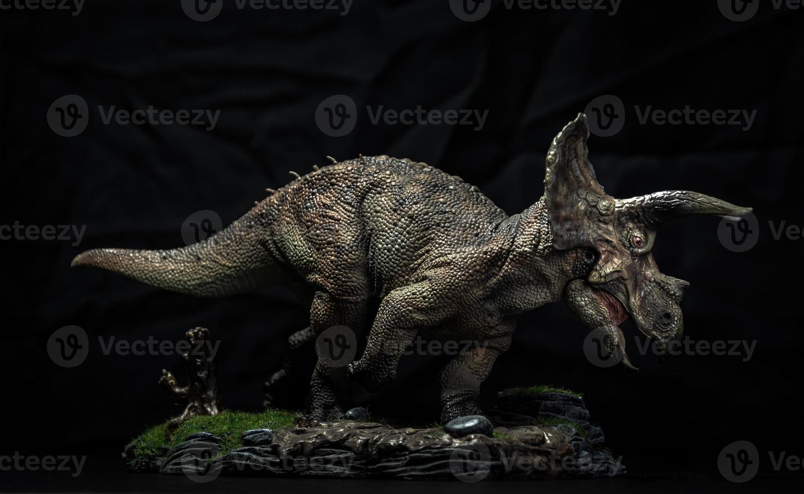 dinosaur , triceratops in the dark photo