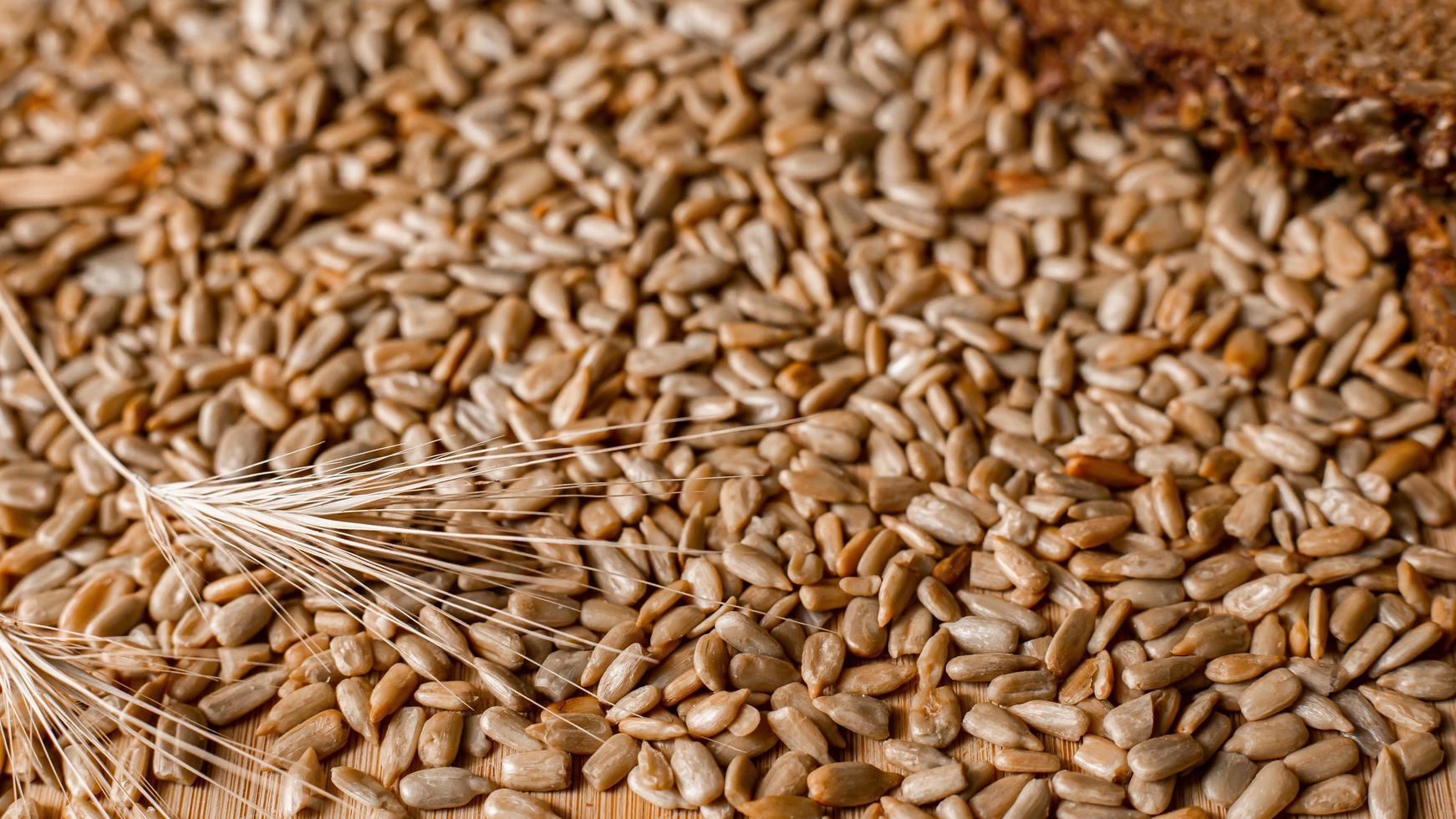 Close-up of wheat ears and sunflower seeds photo