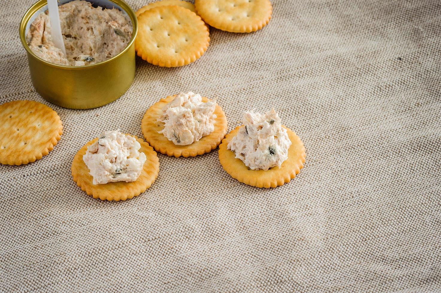Cracker with tuna spread photo