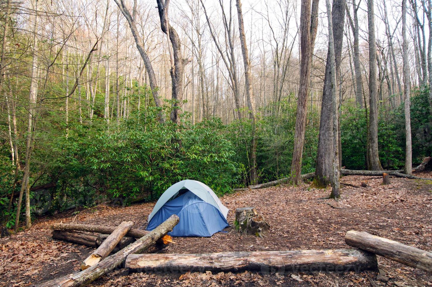 Camp in the Wilderness photo