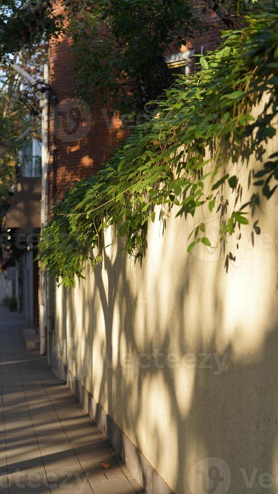 The beautiful city view with the yellow autumn leaves and old buildings under the warm autumn sunlight photo