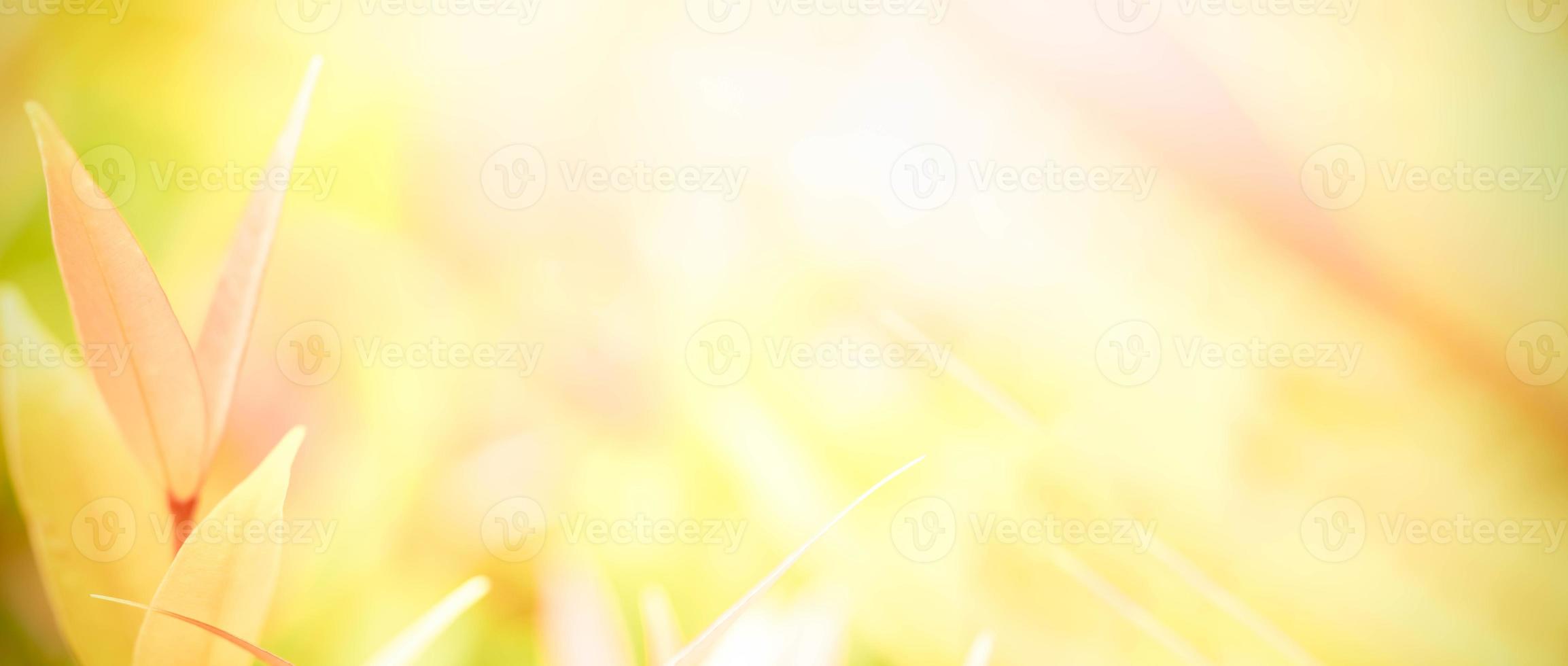 Gorgeous nature view of green leaf on blurred greenery background in garden. Natural green leaves plants used as spring background cover page greenery environment ecology lime green wallpaper photo