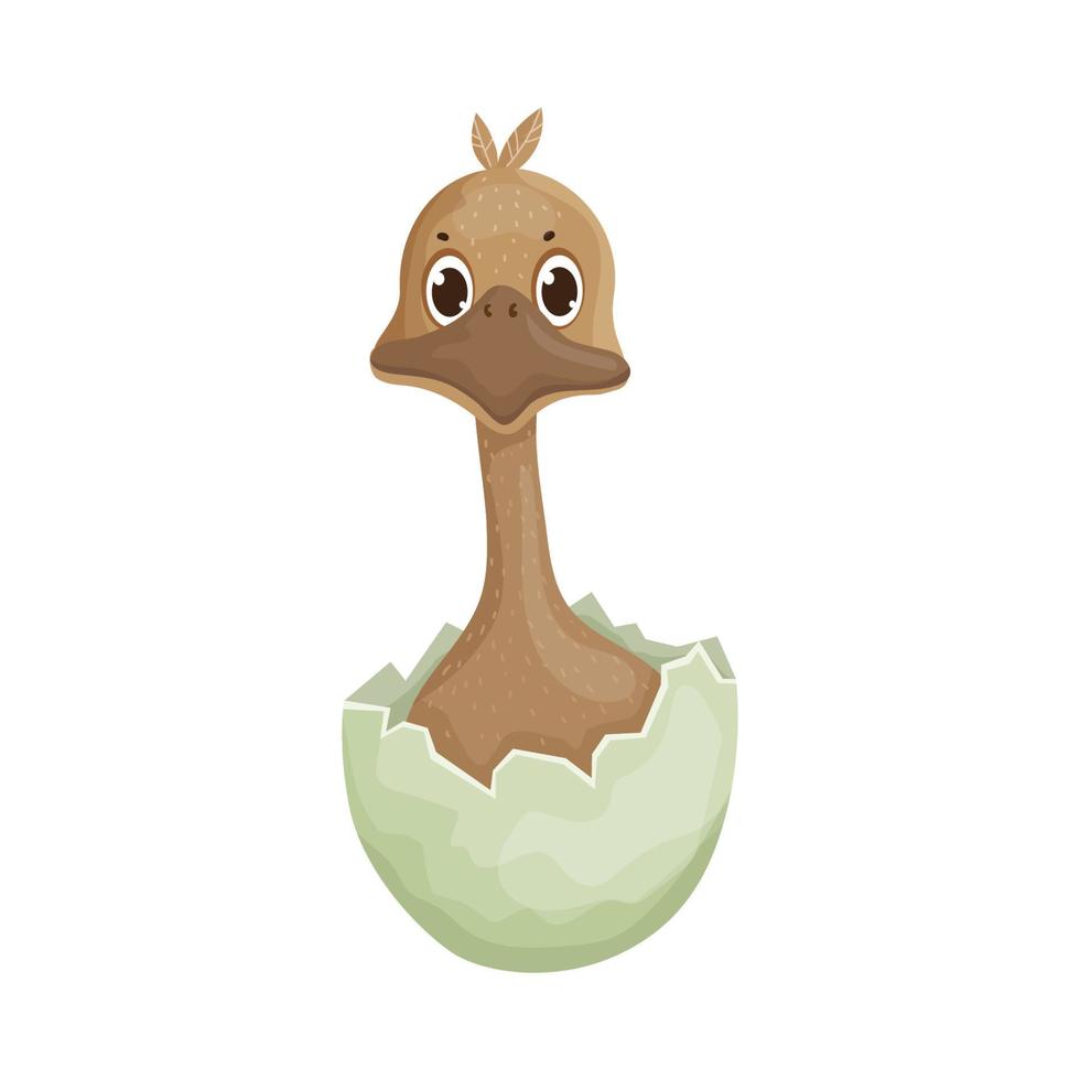 Ostrich in egg vector