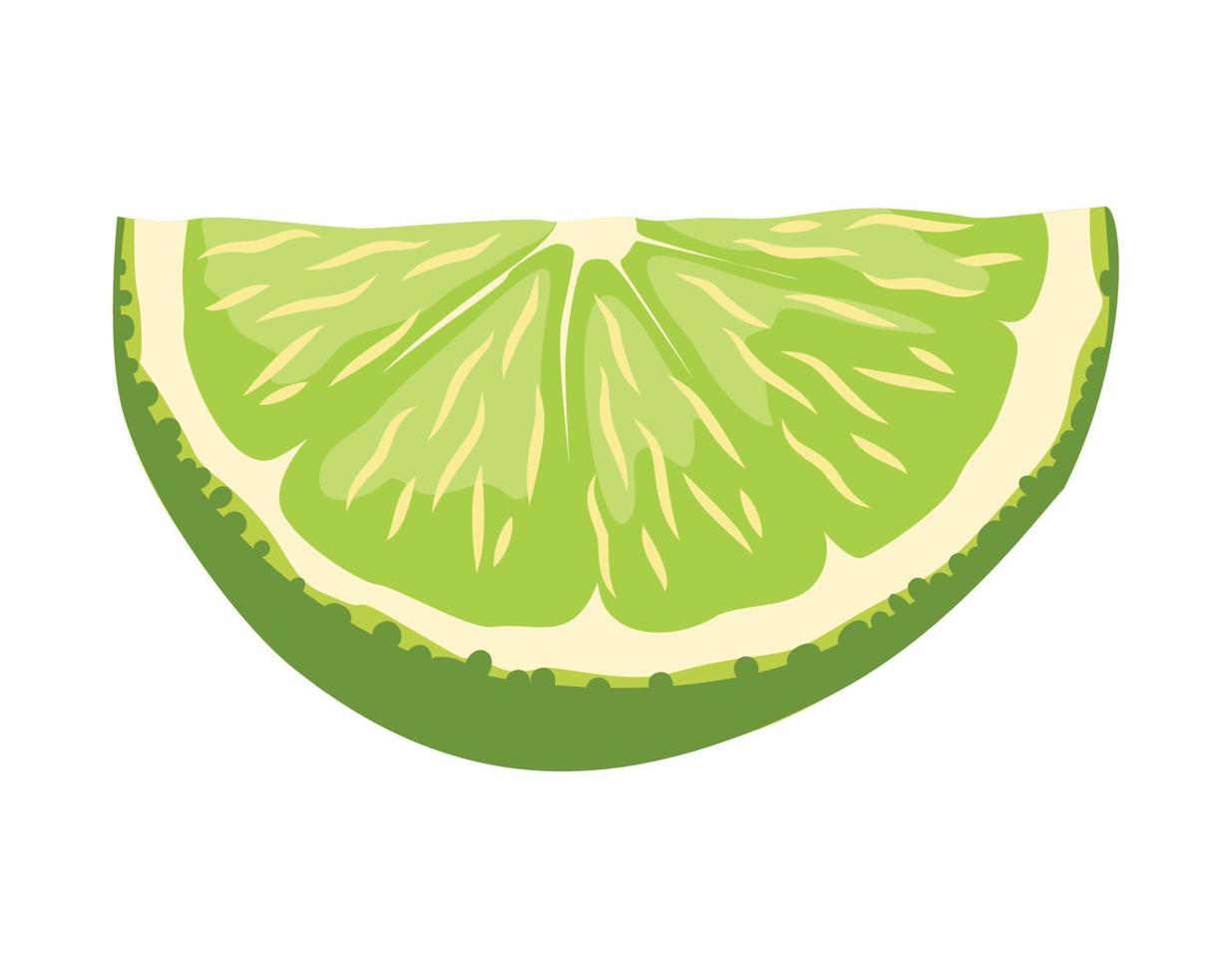 Vector illustrator of Lime