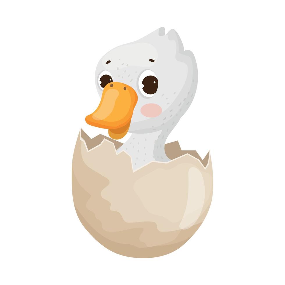 Duckling in egg vector