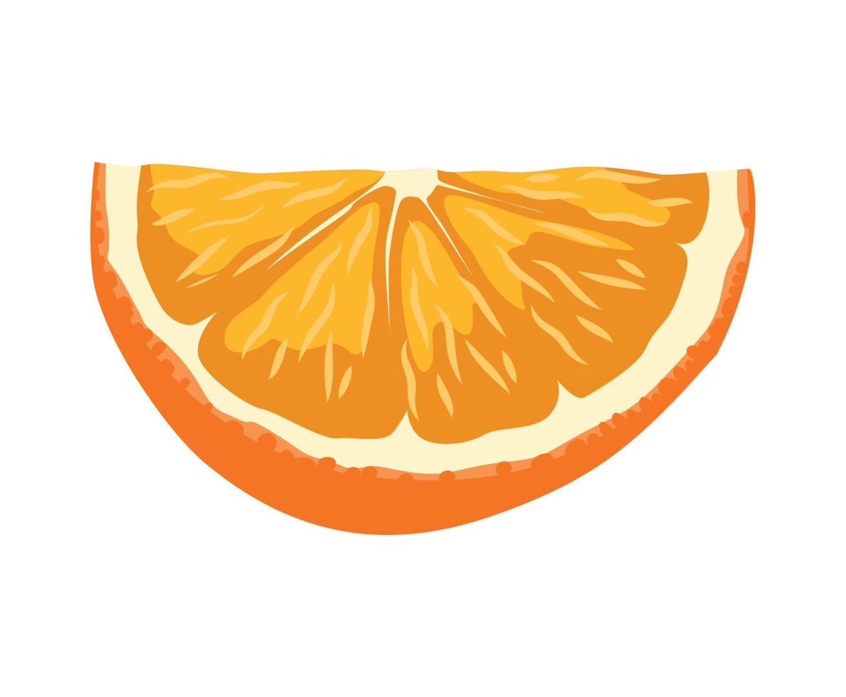 Vector illustrator of Orange