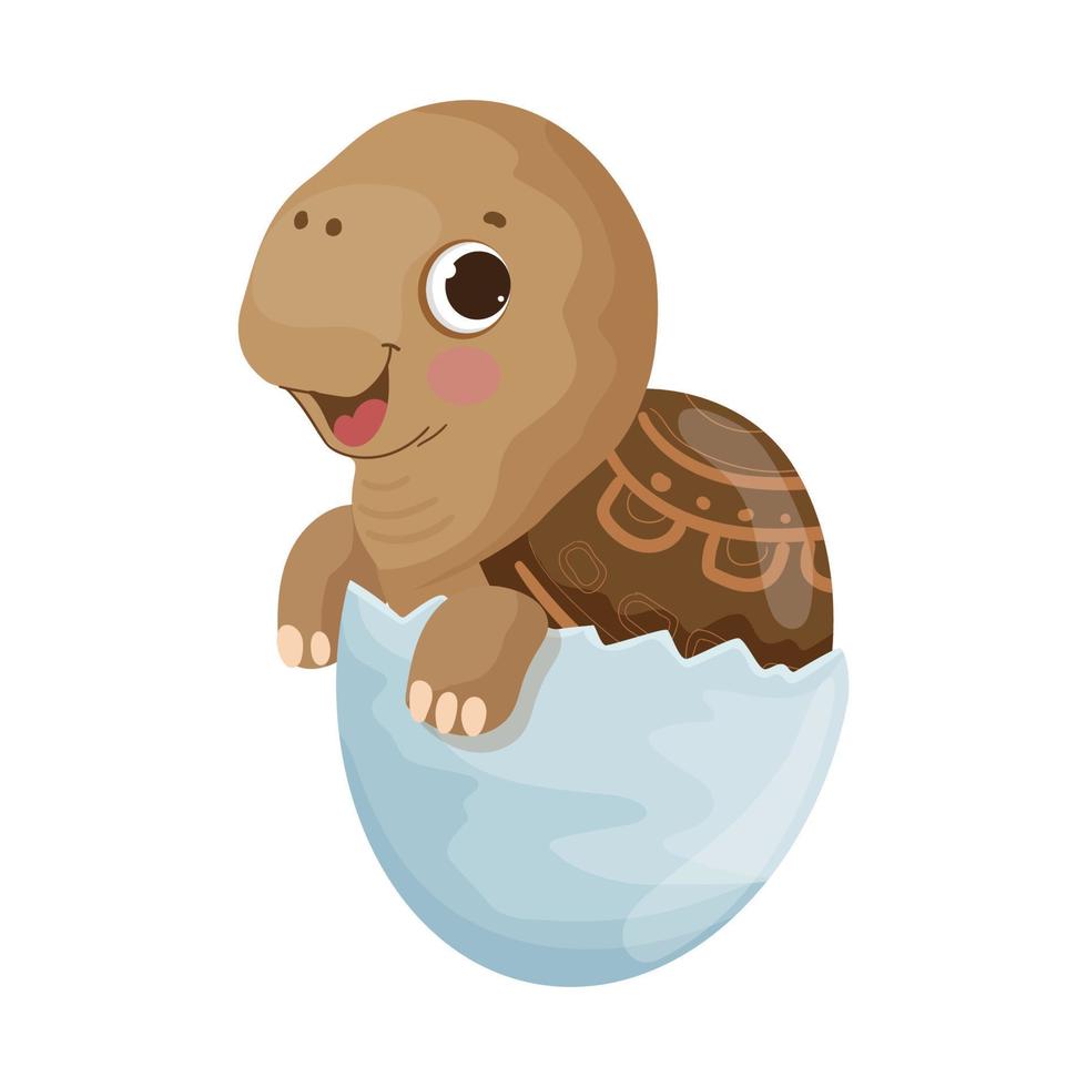 Turtle in egg vector