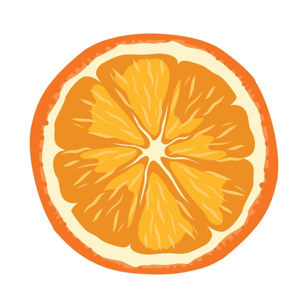 Vector illustrator of Orange 13041456 Vector Art at Vecteezy