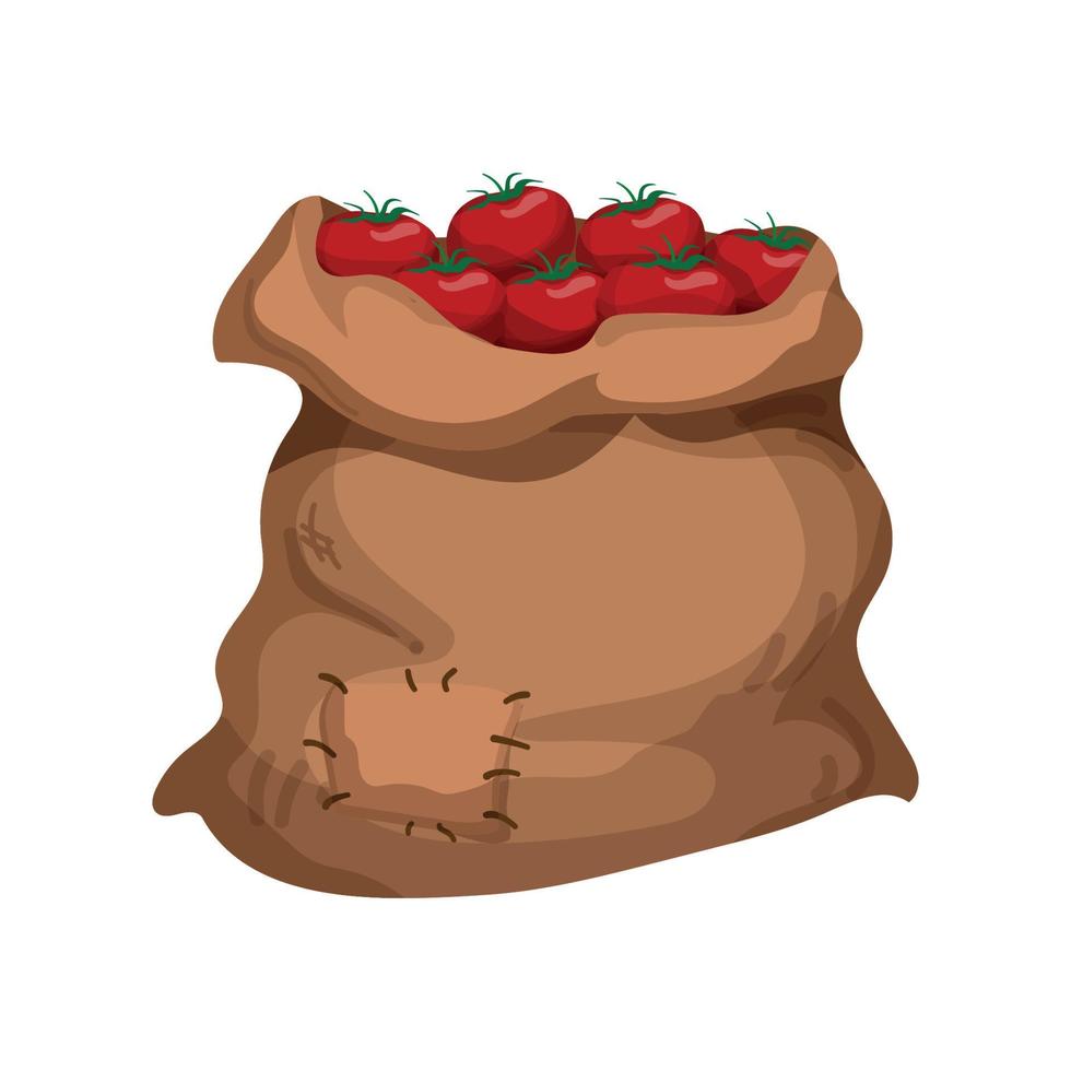 Bag of vegetable vector