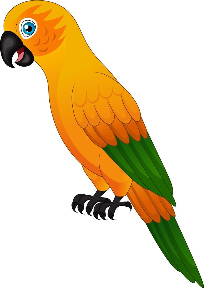 Cute macaw parrot on white background vector